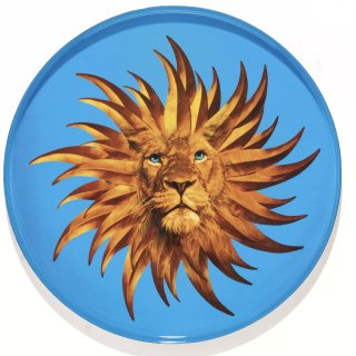 Solarking