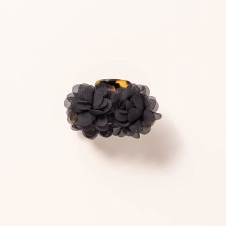 Onyx