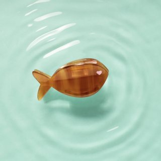 Pince poisson 