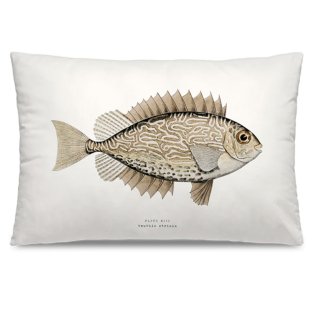 Coussin Baladora