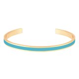 Bleu Turquoise 