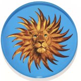 Solarking